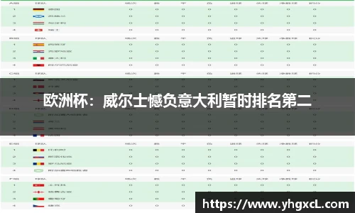 欧洲杯：威尔士憾负意大利暂时排名第二