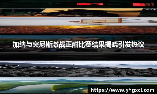 加纳与突尼斯激战正酣比赛结果揭晓引发热议