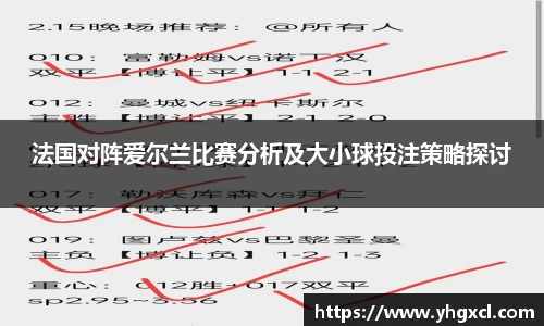 法国对阵爱尔兰比赛分析及大小球投注策略探讨